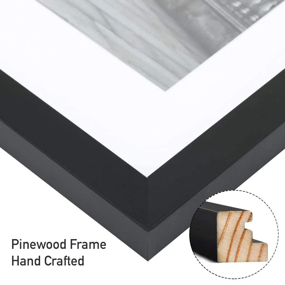 Hornet Wall Art - Silksong Poster Print Cartpitol